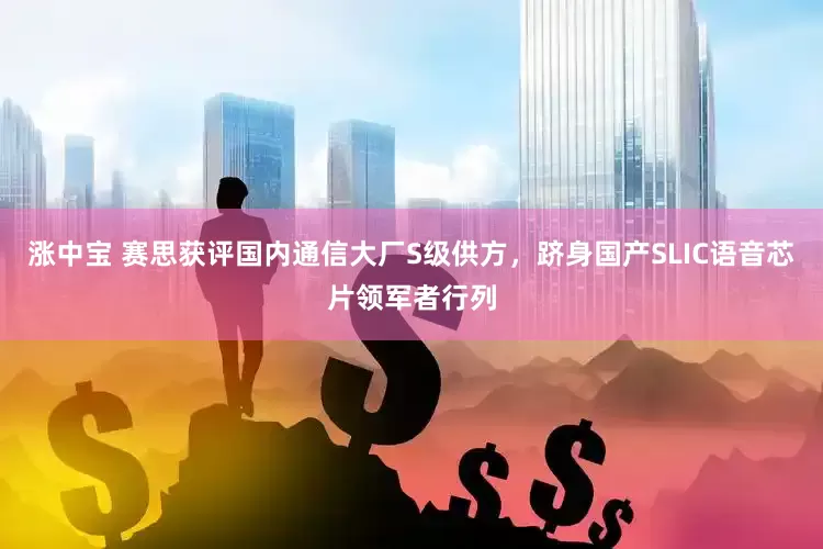 涨中宝 赛思获评国内通信大厂S级供方，跻身国产SLIC语音芯片领军者行列