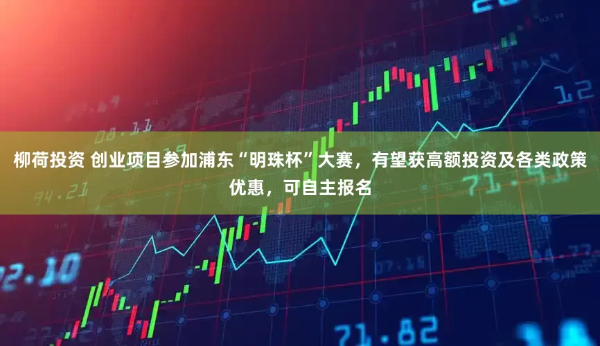 柳荷投资 创业项目参加浦东“明珠杯”大赛，有望获高额投资及各类政策优惠，可自主报名