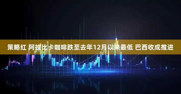 策略红 阿拉比卡咖啡跌至去年12月以来最低 巴西收成推进