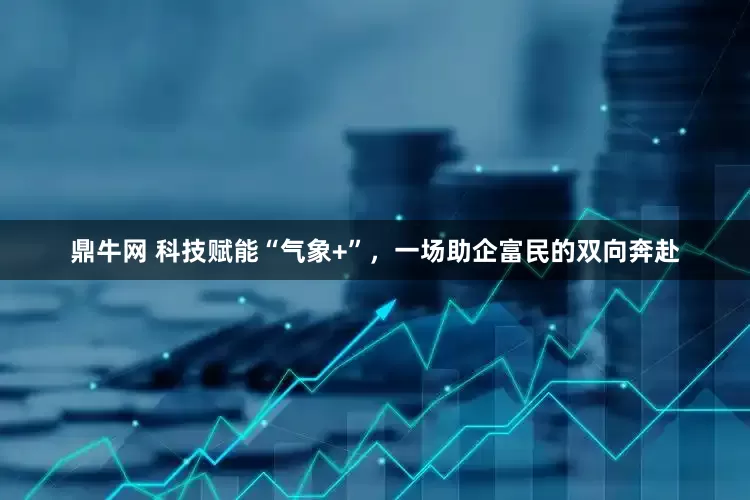 鼎牛网 科技赋能“气象+”，一场助企富民的双向奔赴
